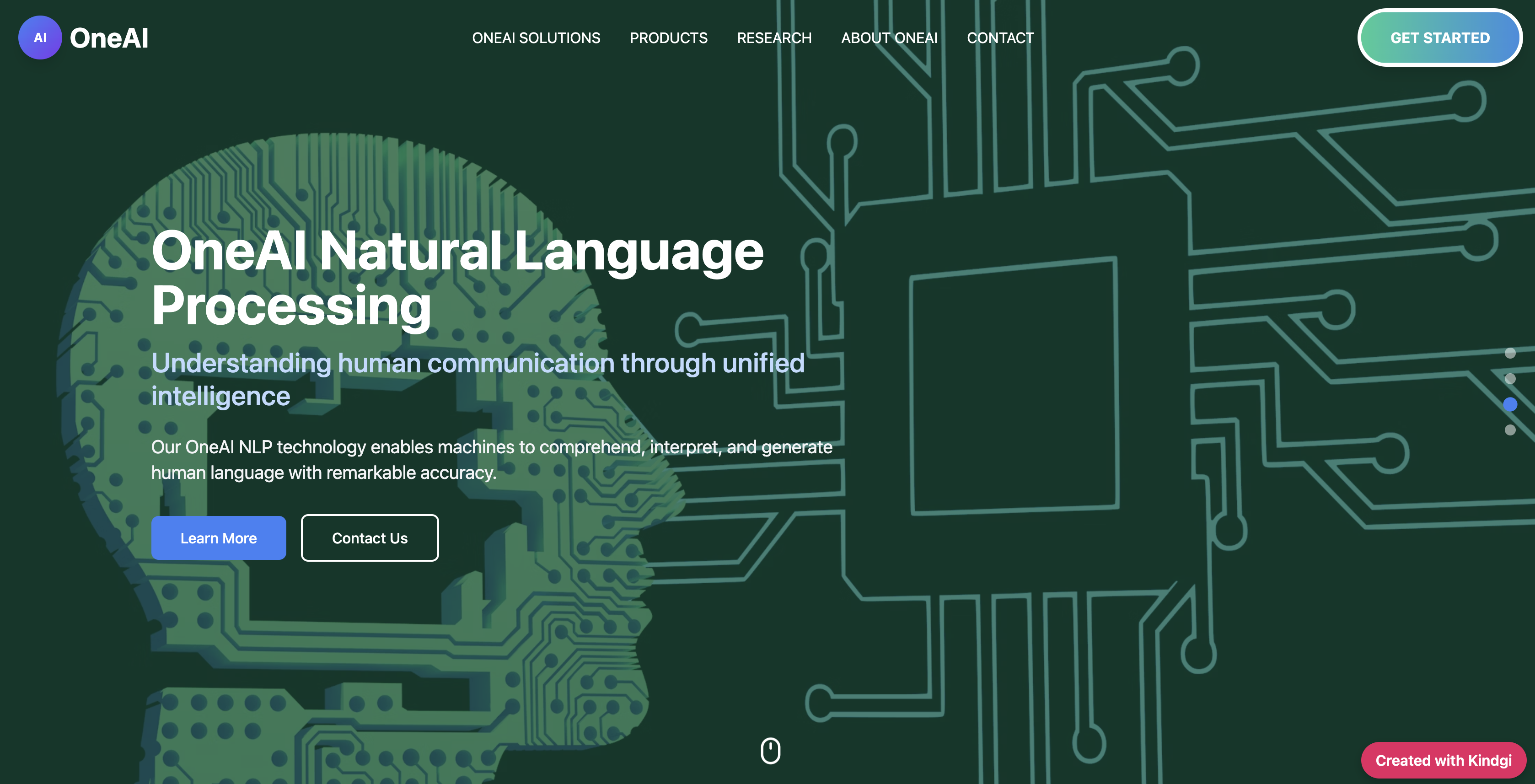 Kindgi AI Data Visualization Interface